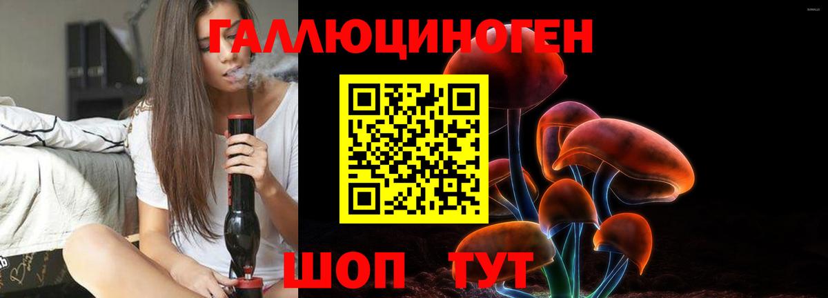 Галлюциногенные грибы Magic Shrooms  Вход с VPN  Аксай  Псилоцибиновые грибы GOLDEN TEACHER 